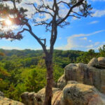 This Missouri Nature Area Has Slot Canyons, Ancient Sandstone, and One of the Most Surprising Hikes in the Midwest