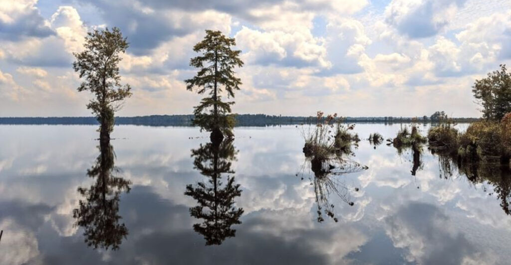This Mysterious Virginia Wilderness Feels Like A Lost World Hidden In Plain Sight