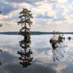 This Mysterious Virginia Wilderness Feels Like A Lost World Hidden In Plain Sight