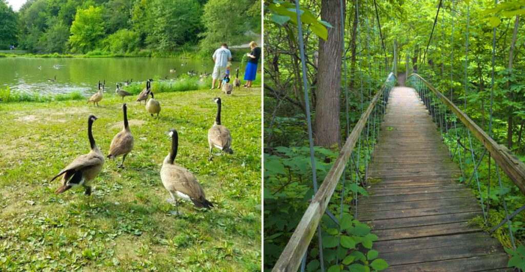 This Nebraska Park Has Aquarium Tanks, a Suspension Bridge, Fossil Beds, and a Two-Story Treehouse