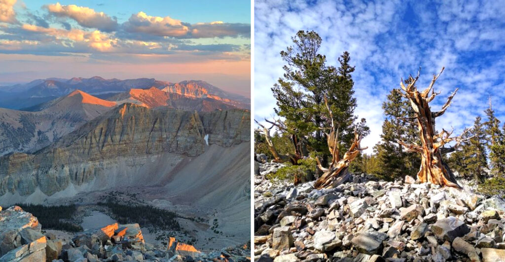 This Nevada National Park Is Home to Trees Older Than the Pyramids