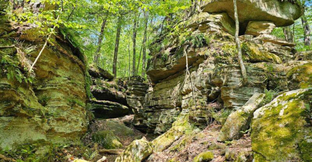 This New York Park Lets You Walk Through 400-Million-Year-Old Rock Corridors