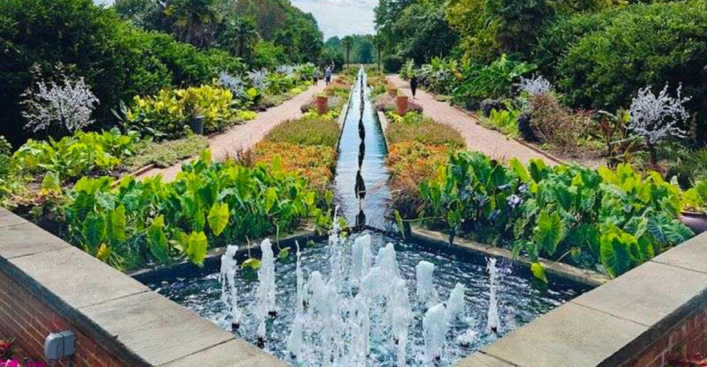 This North Carolina Garden Hides Thousands of Stunning Orchids Across 380 Beautiful Acres