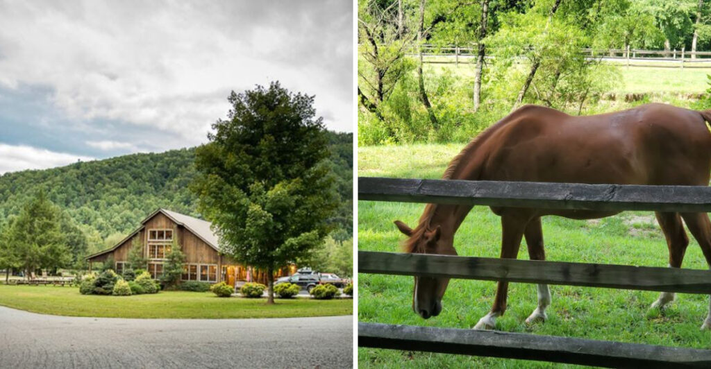 This North Carolina Ranch Resort Is Where Mountain Views Meet Western Adventure
