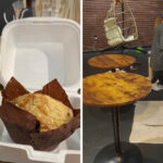 This Ohio Cafe Turns Coffee Breaks Into Second Chances for Cats