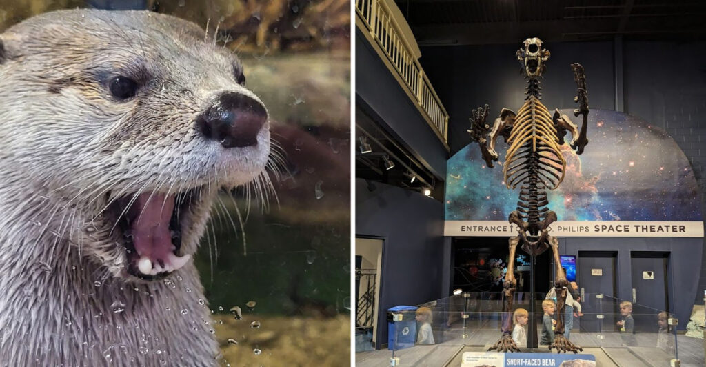 This Ohio Museum Combines a Zoo, Planetarium, and Science Center in One Visit