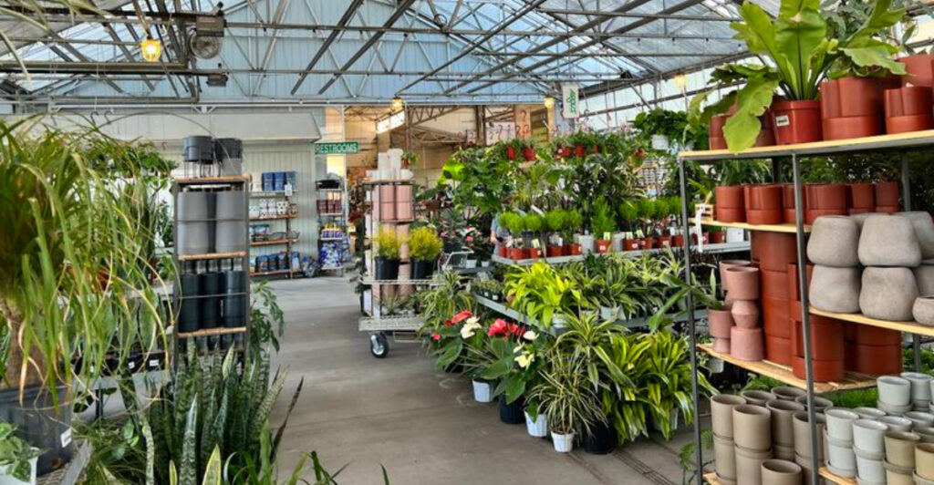 This Oklahoma Shopping Gem Is Filled With Affordable Planters, Plants, and Garden Décor