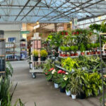 This Oklahoma Shopping Gem Is Filled With Affordable Planters, Plants, and Garden Décor