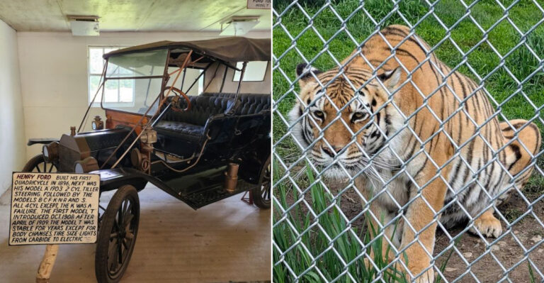 This Old-School New Jersey Attraction Is Unlike Any Zoo You’ve Seen Before