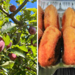 This Orchard in Hendersonville, North Carolina Is Famous for Fresh Apple Cider Donuts