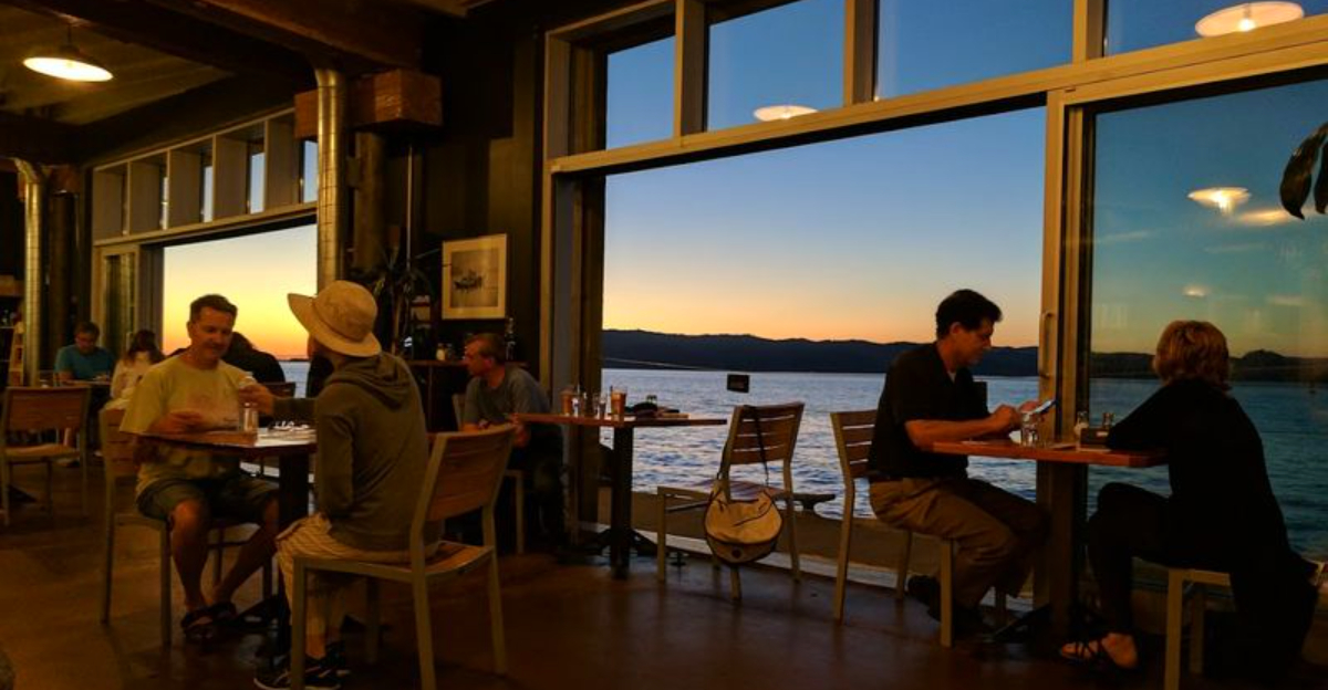 This Oregon Brewery Serves Craft Beer With an Unexpected View of Sea Lions Below