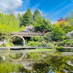 This Oregon Destination Explodes With Color in Summer, but the Water Features Steal the Show in Every Season