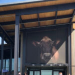 This Oregon Experience Lets You Watch the Magic Happen Inside a Famous Creamery