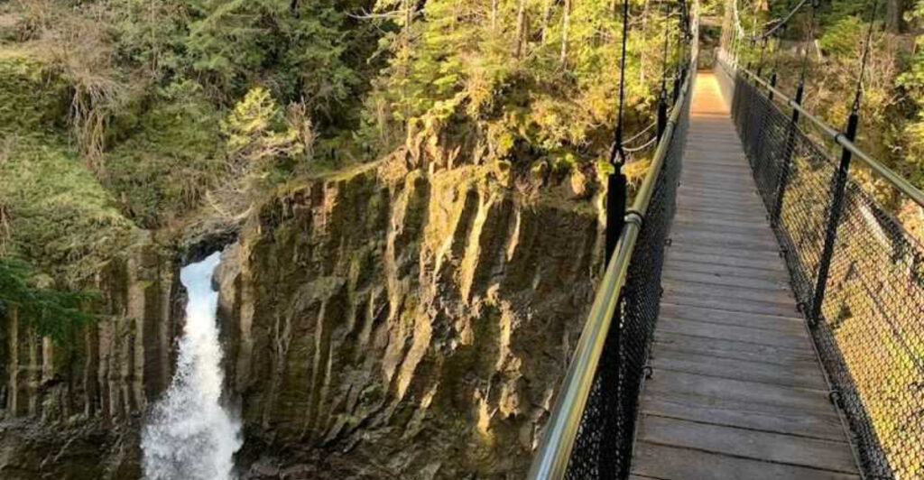 This Oregon Hiking Trail Leads to a 240-Foot Suspension Bridge Above a Scenic Gorge