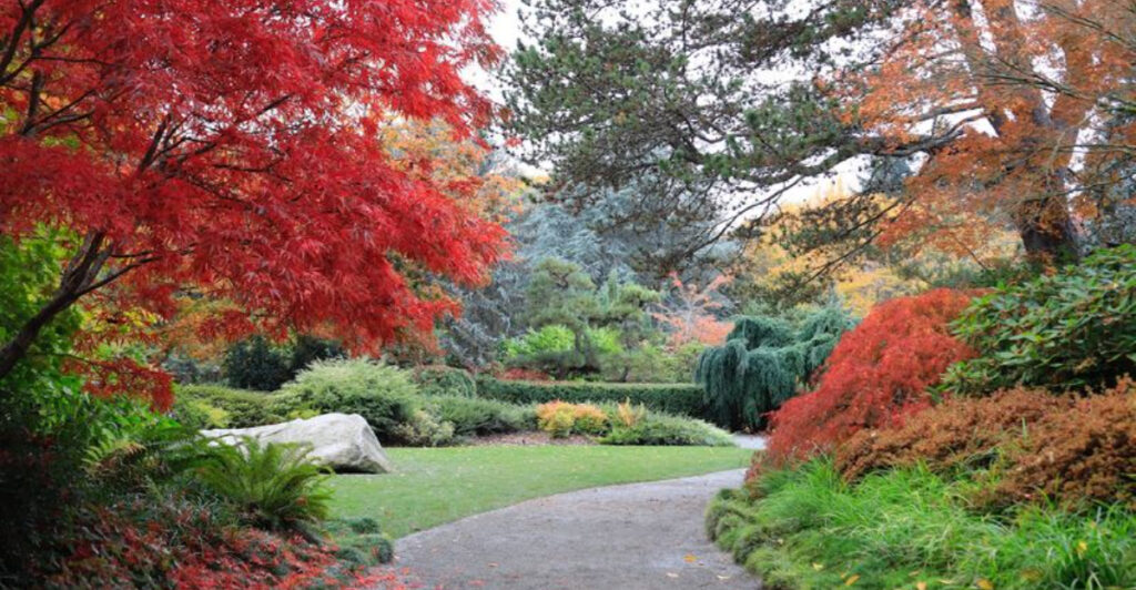 This Peaceful Washington Garden Is One of Seattle’s Most Overlooked Hidden Gems