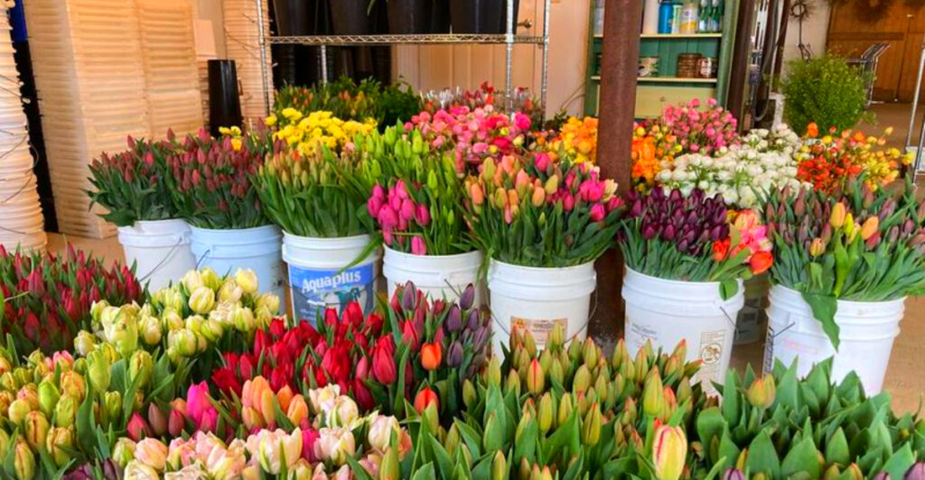 This Pennsylvania Flower Farm Bursts With Seasonal Blooms, Stunning Views, and Picture-Perfect Photo Opportunities