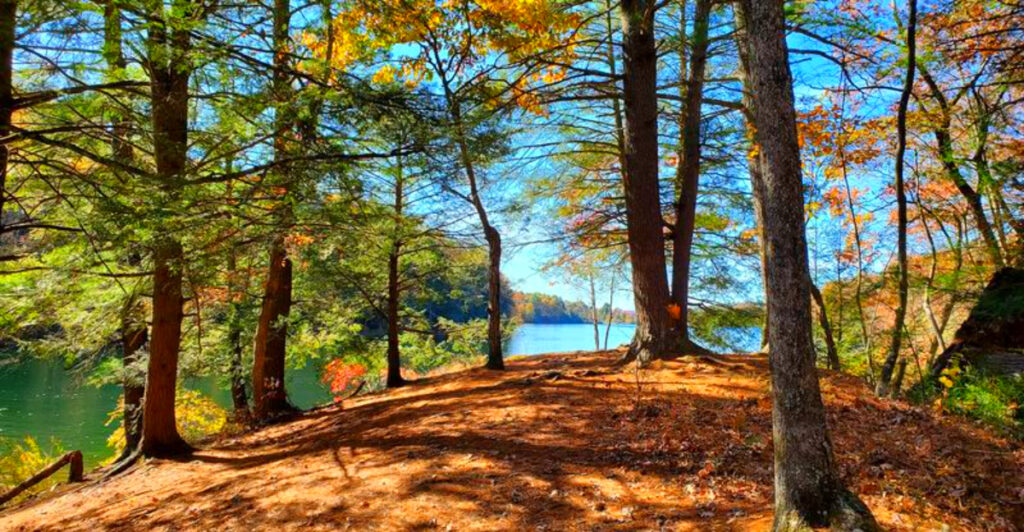 This Pennsylvania State Park Has a Sandy Lake Beach, Mountain Views, and a Hidden Waterfall Hike