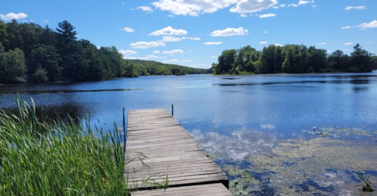 This Quiet New Jersey Lake Looks Straight Out of a Wilderness Postcard