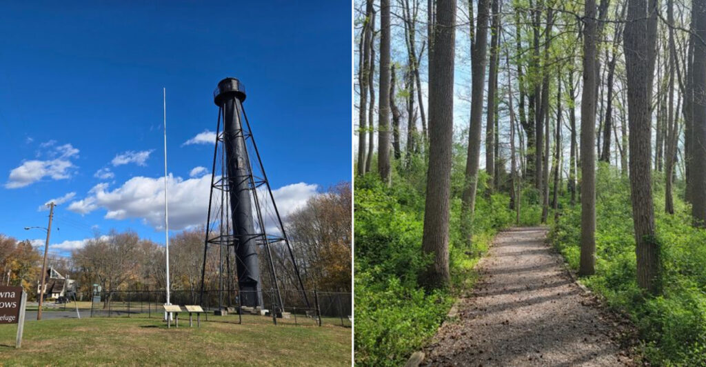This Quiet New Jersey Wildlife Preserve Is a Dream for Curious Explorers