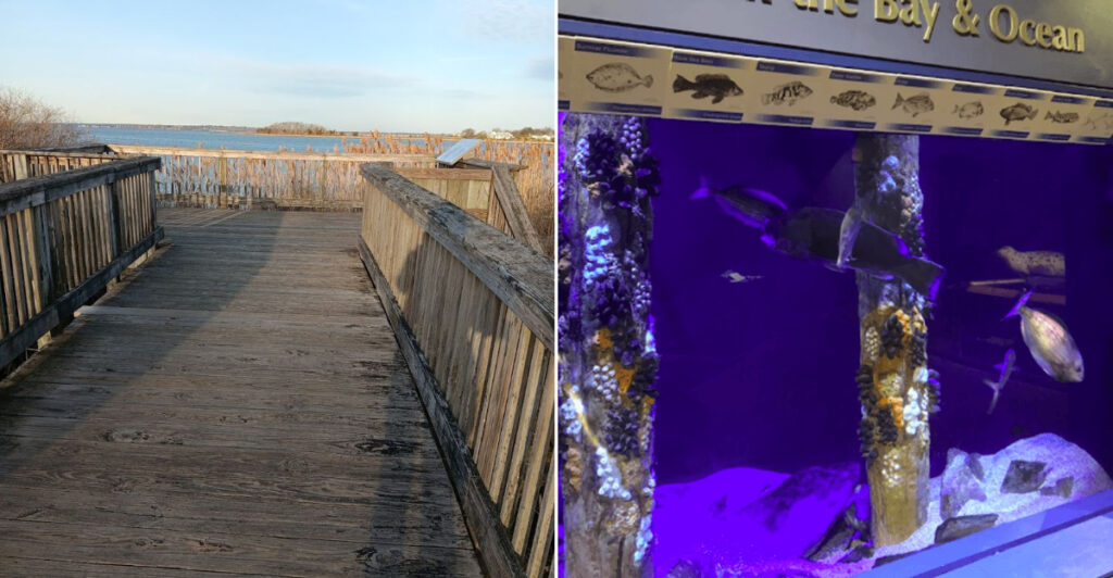 This Rhode Island Aquarium Showcases Creatures Living Right In Narragansett Bay