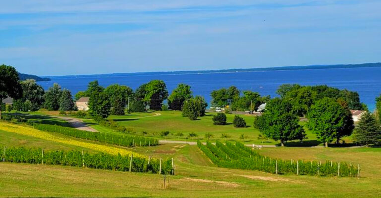 This Small Michigan Winery Has a View That Steals the Show