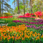 This Stunning Arkansas Garden Has 150,000 Tulips, a Glass Chapel, and Lakeside Trails That Feel Like a Fairytale