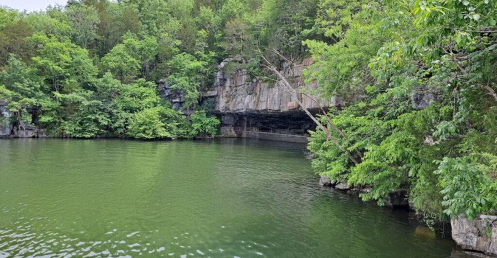 This Tennessee Cave Turns Into a Bat-Filled Sky Show at Dusk
