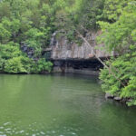 This Tennessee Cave Turns Into a Bat-Filled Sky Show at Dusk