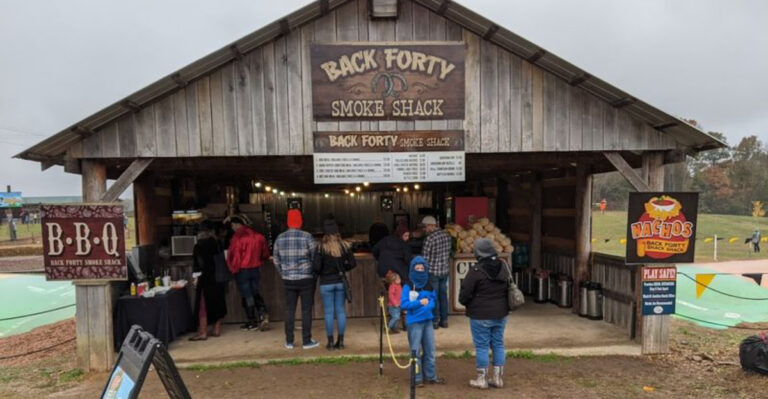 This Tennessee Farm Has 75 Attractions And Feels Like A Giant Family Playground