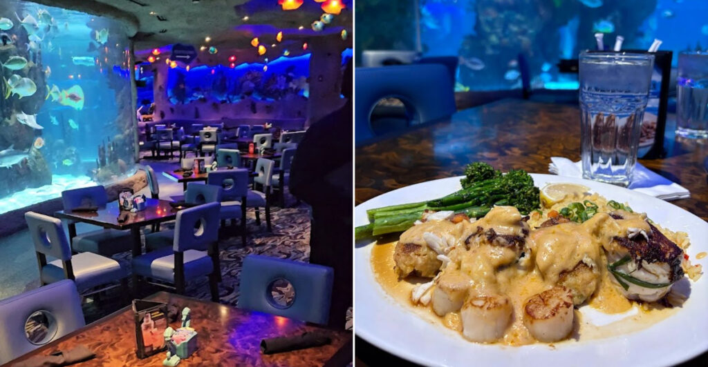 This Tennessee Restaurant Lets You Eat Beside Sharks, Stingrays, And A Giant Underwater World