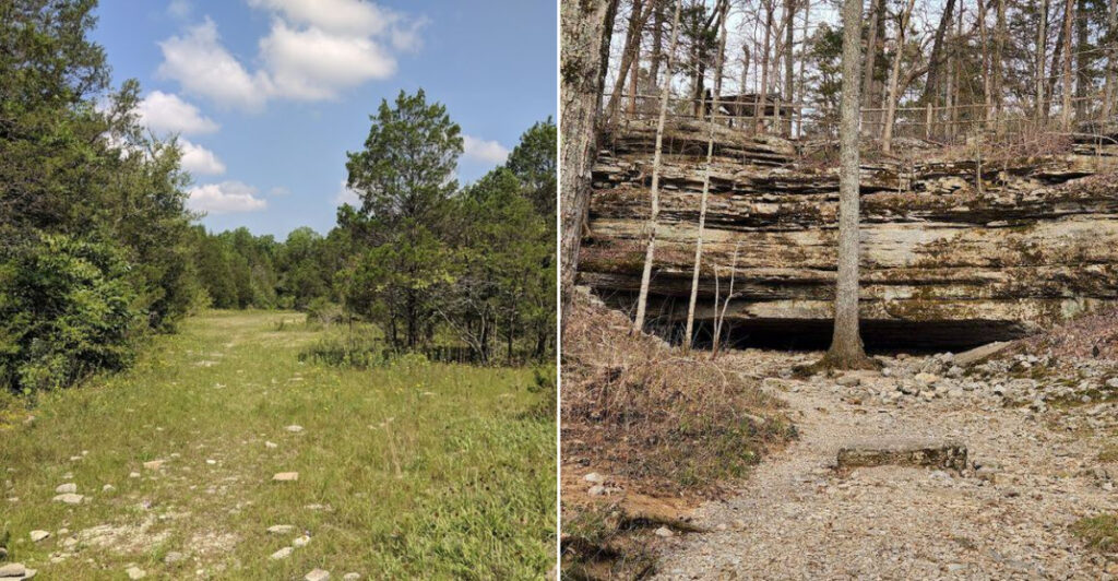 This Tennessee State Park Protects One Of America’s Rarest Landscapes