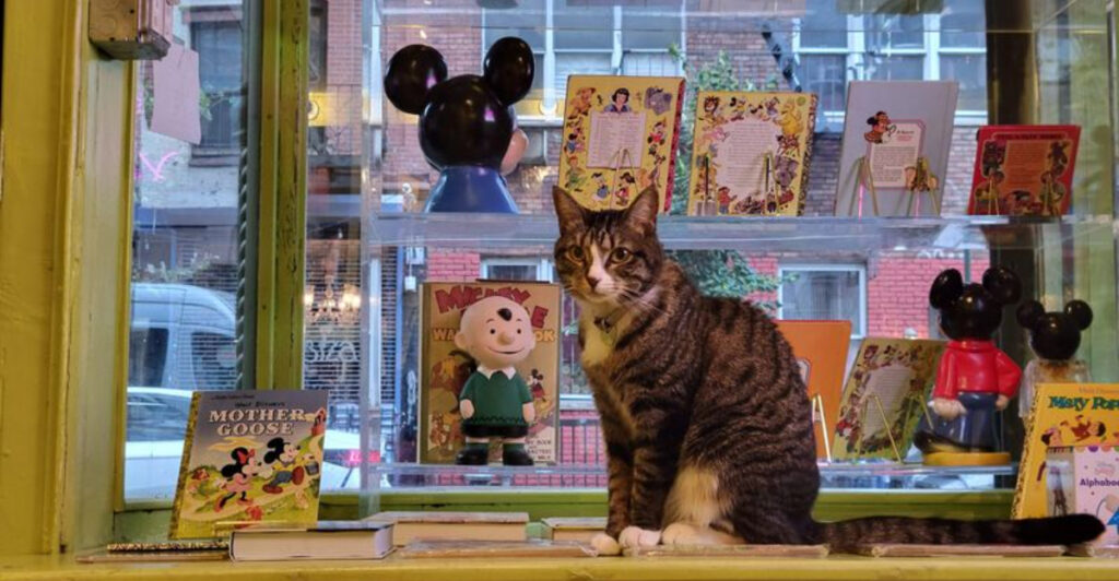 This Tiny New York Bookshop Only Sells Books With Animals Inside