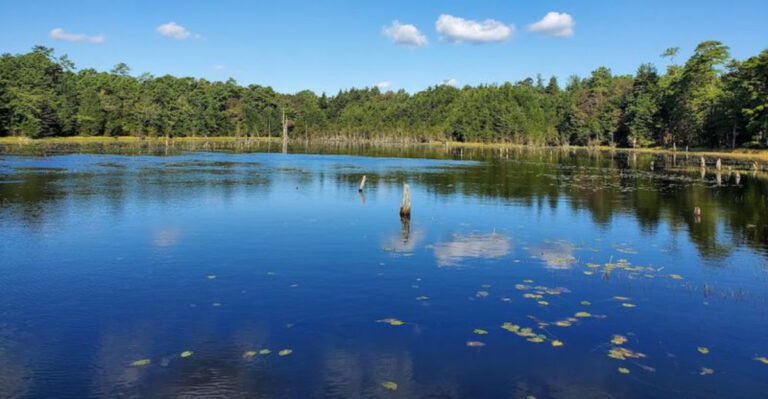 This Underrated County Park Blends Woodland Trails With Fascinating Farm History