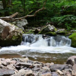 This Virginia Hiking Trail Ends at a Breathtaking 66-Foot Waterfall