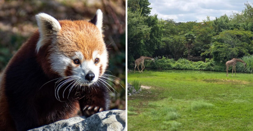 This Virginia Zoo Offers Close-Up Animal Encounters and Beautiful Walking Trails