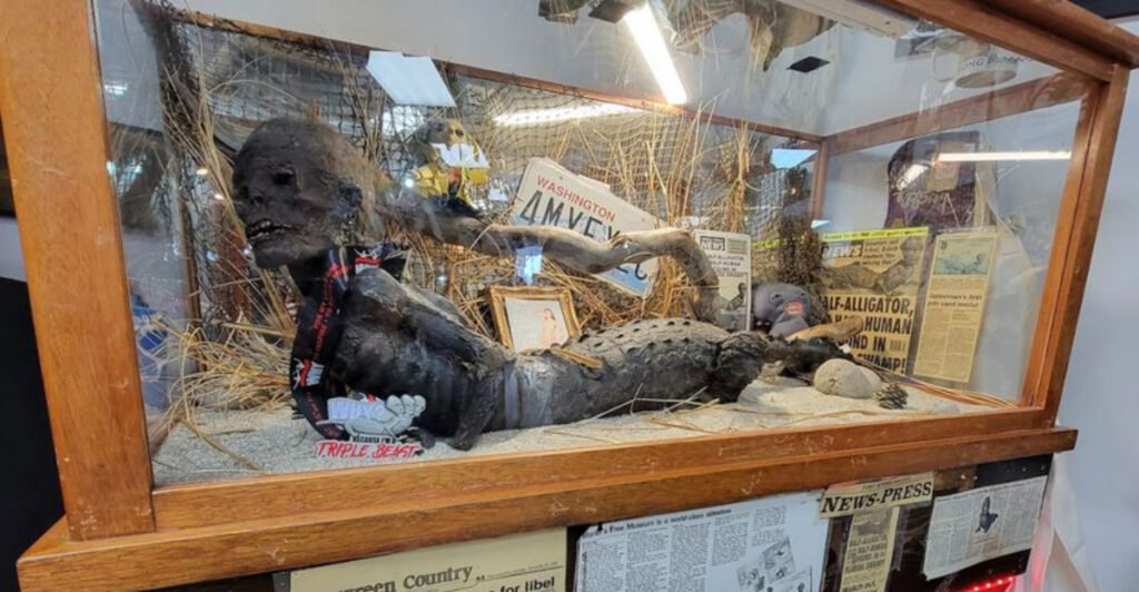 This Washington Museum Has Been Showing Off Oddities Since 1921