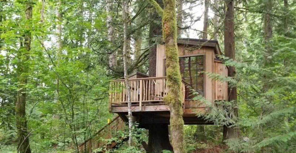 This Washington Treehouse Retreat Lets Guests Sleep Above A Spring-Fed River