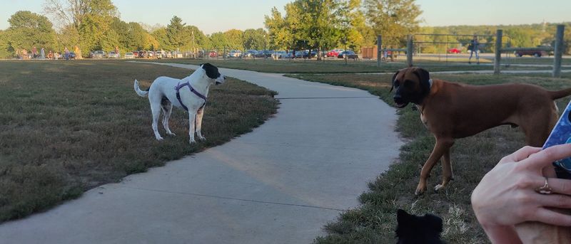Thomas S. Stoll Memorial Park, Overland Park, Kansas