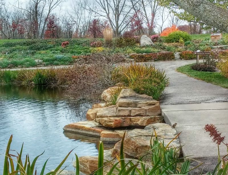 Three Scenic Ponds and Their Wildlife Three Scenic Ponds and Their Wildlife