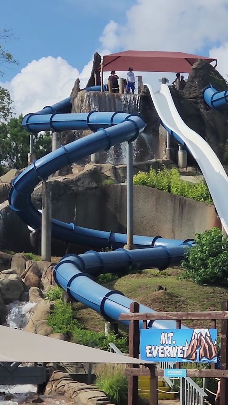 Thrill Slides: Speed, Drops, and Unexpected Twists