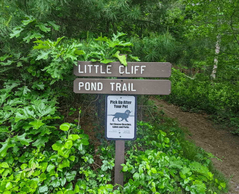 Tick Awareness and Staying Safe on the Trails