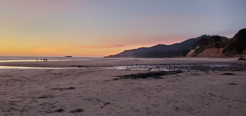 Tide Pools Teeming With Life