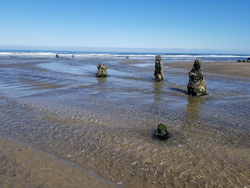 Timing Your Visit Around the Tides Timing Your Visit Around the Tides