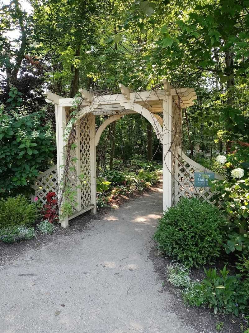 Tips for Planning Your Visit to Beech Creek Tips for Planning Your Visit to Beech Creek
