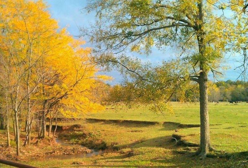 Tips for Planning Your Visit to Wister