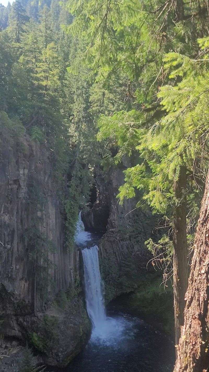 Toketee Falls — Umpqua National Forest, Oregon Toketee Falls — Umpqua National Forest, Oregon