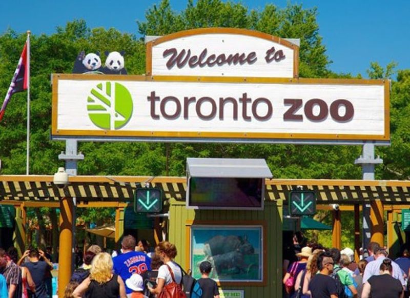 Toronto Zoo - Toronto, Ontario, Canada Toronto Zoo - Toronto, Ontario, Canada