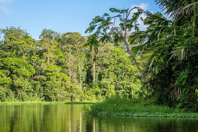 Tortuguero National Park, Limón Province, Costa Rica