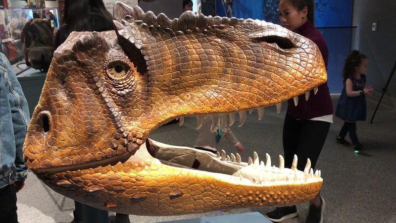 Touch-Friendly Exhibits That Actually Encourage Hands-On Exploration Touch-Friendly Exhibits That Actually Encourage Hands-On Exploration