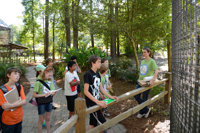 Tour Options That Suit Every Type of Visitor Tour Options That Suit Every Type of Visitor